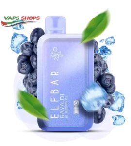 ELFBAR Raya D1 13000 Puffs 50mg Blueberry ice