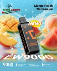 Elfbar ew 9000 Puffs Mango Peach Watermelon