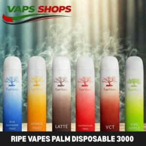 RIPE VAPES Palm Disposable 3000 Puffs 20MG Rechargeable Vape